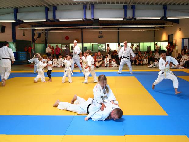 Judo-Fun