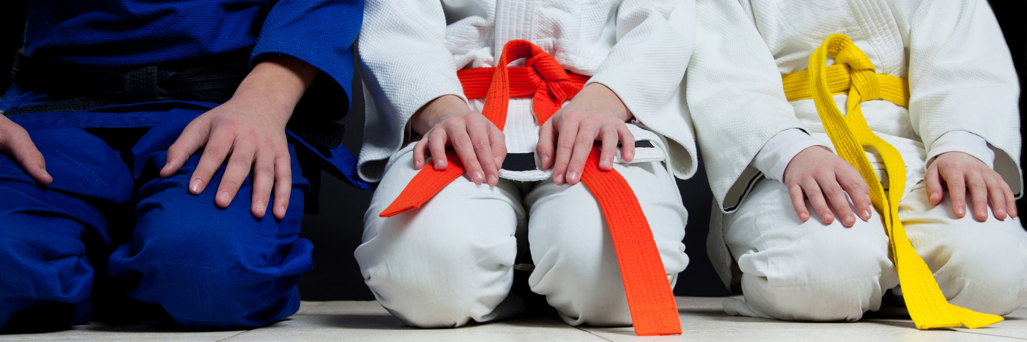 Judo Erwachsene Lauftraining